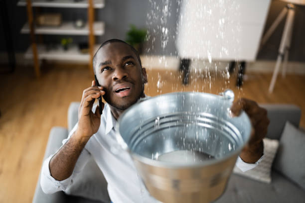 Best Water damage contractors near me  in Covington, LA
