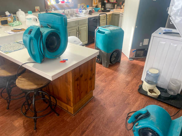 Professional Water damage restoration in LA