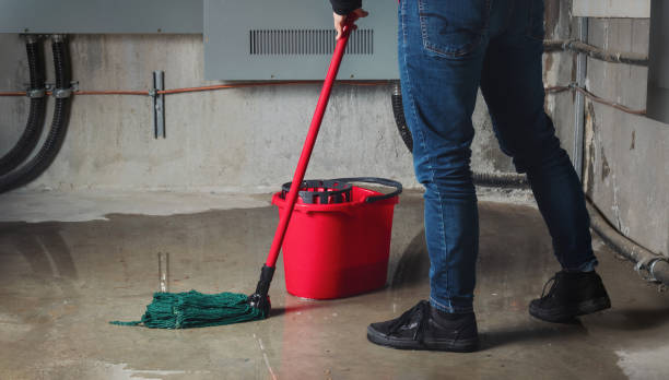 Best Ceiling water damage repair  in Covington, LA