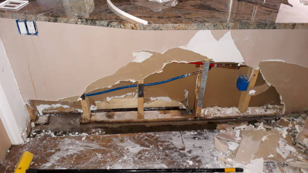 Best Ceiling water damage repair  in Covington, LA