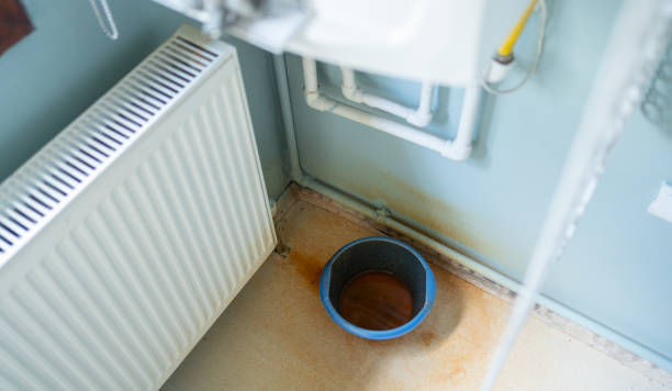 Best Flood restoration services  in Covington, LA
