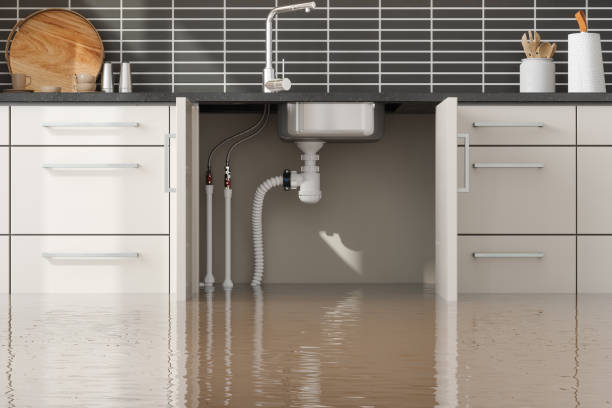 Best Local water damage restoration  in Covington, LA