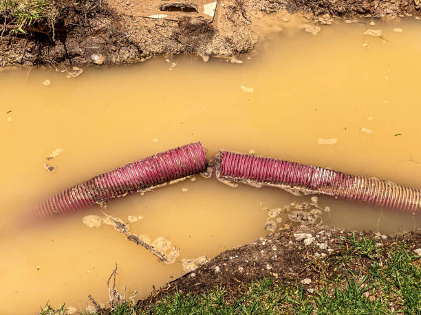 Best Mold removal after water damage  in Covington, LA