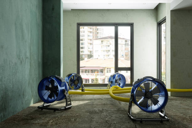 Best 24/7 water damage repair  in Covington, LA